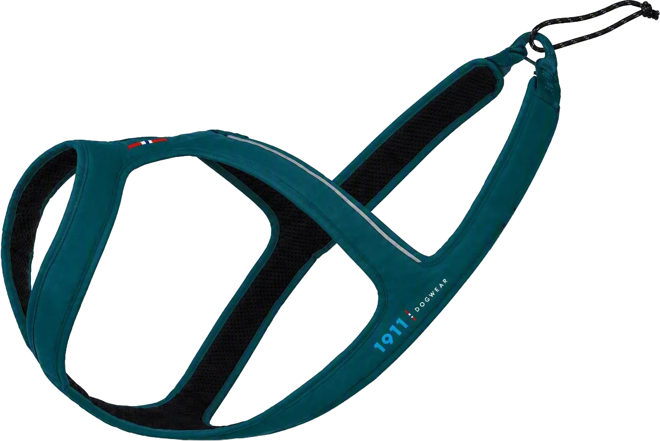 Obersten Harness product shot